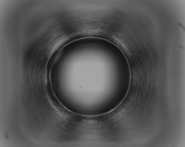 X0000093590582200710151206