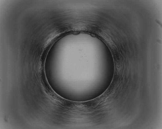 X0000093590583200710151206