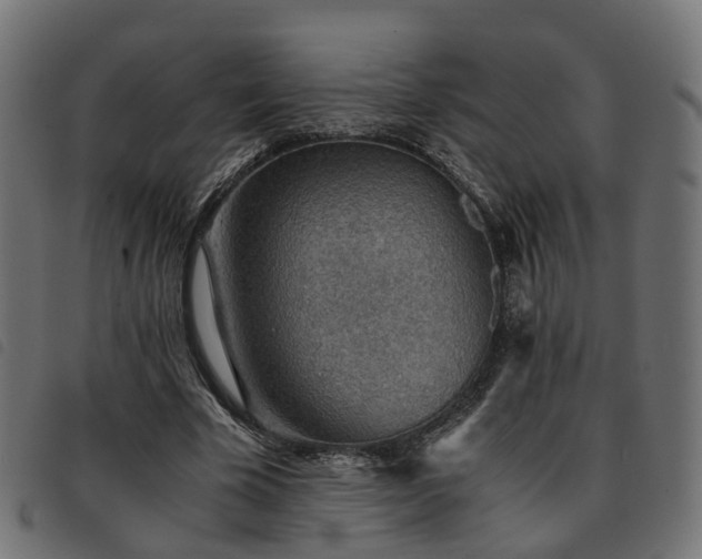 X0000093590585200710151206