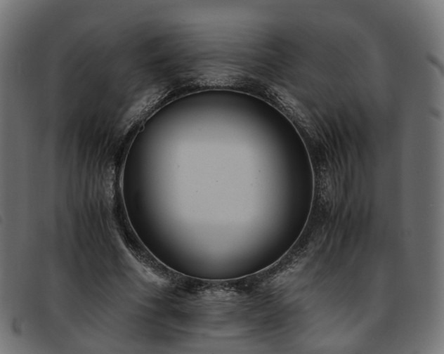 X0000093590586200710151206