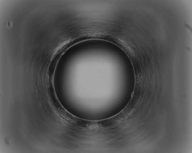 X0000093590587200710151206