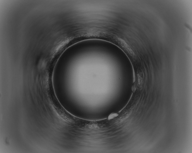 X0000093590588200710151206