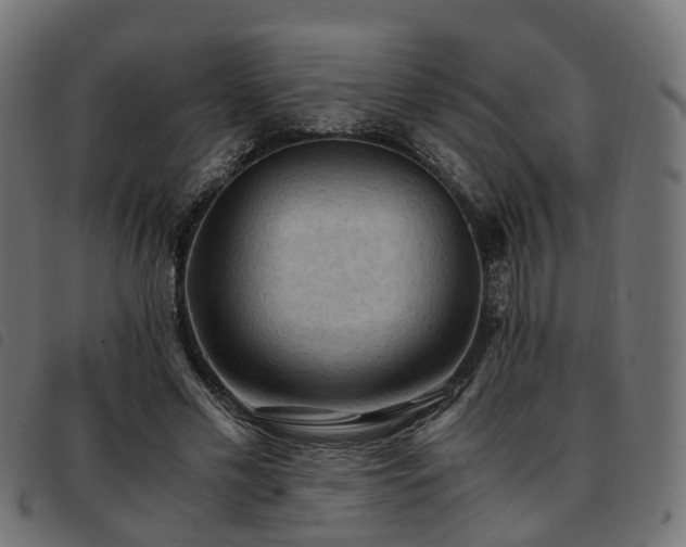 X0000093590589200710151205