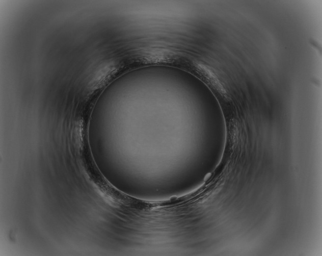 X0000093590590200710151205