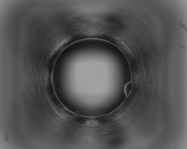 X0000093590591200710151205
