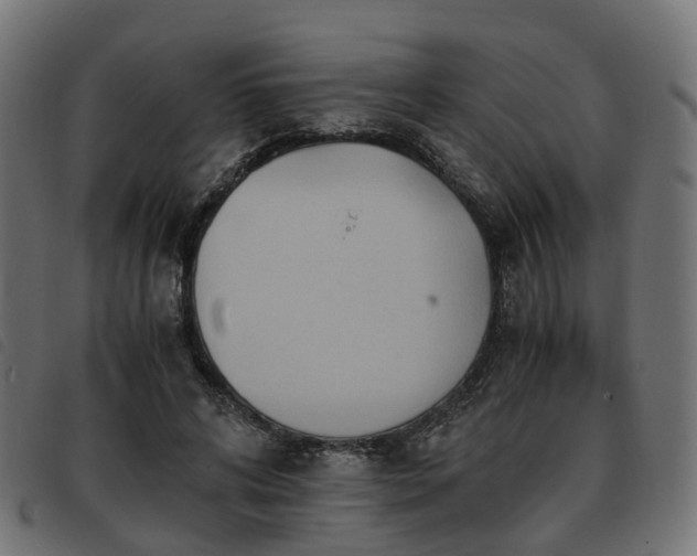 X0000093590592200710151205