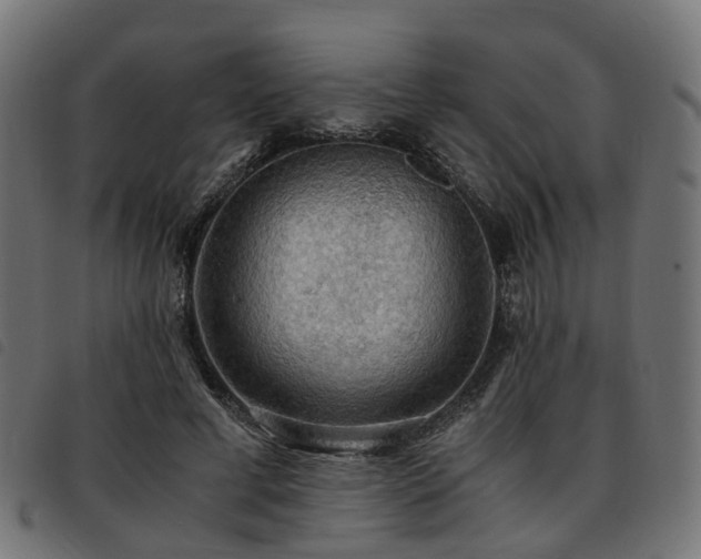 X0000093590593200710151205