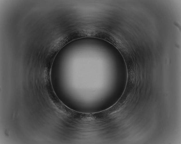 X0000093590594200710151205