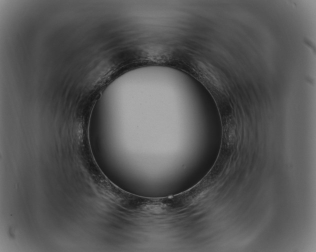 X0000093590595200710151205