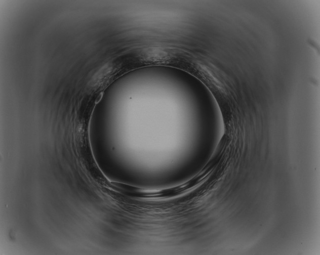 X0000093590597200710151205
