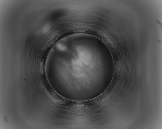 X0000093590598200710151205
