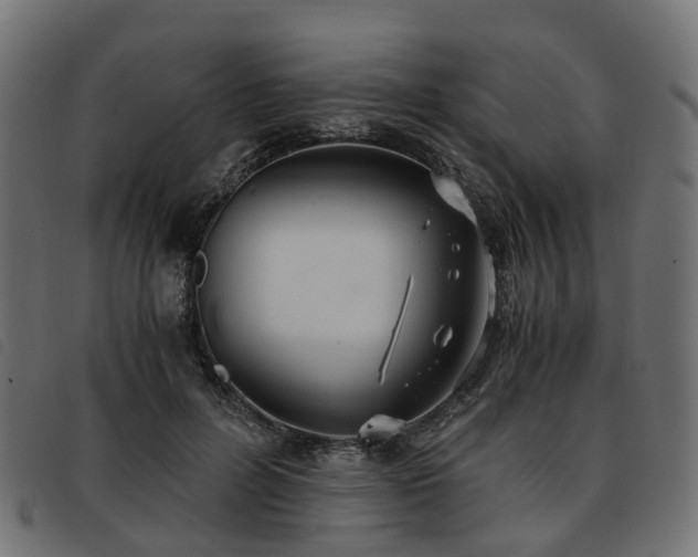 X0000093590600200710151205