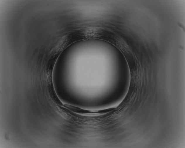 X0000093590601200710151205