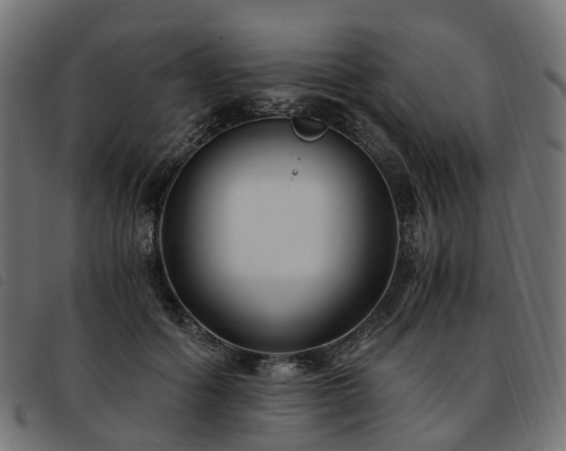X0000093590602200710151205