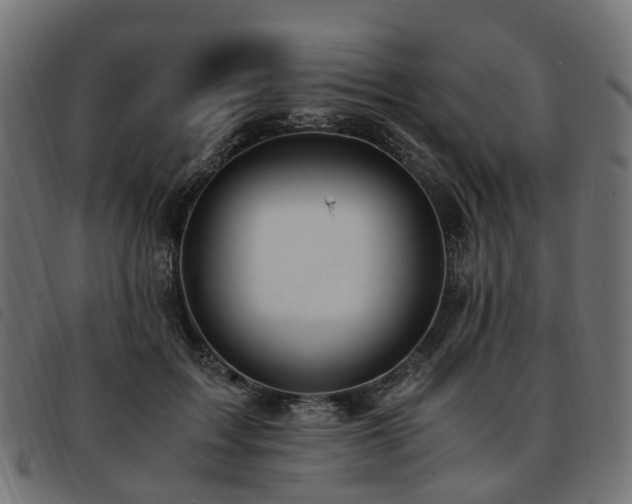 X0000093590603200710151205
