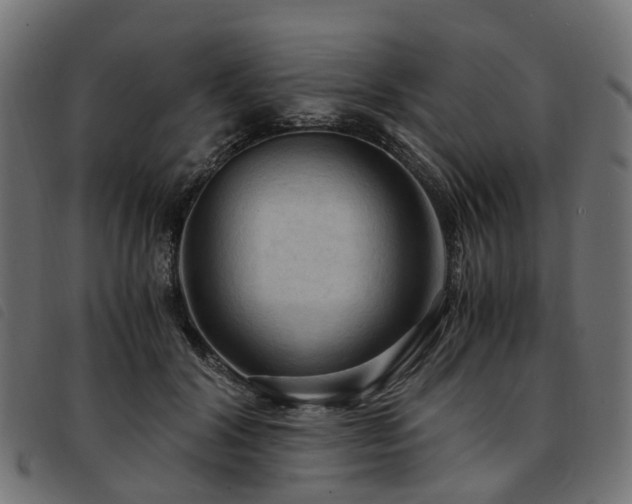 X0000093590604200710151205