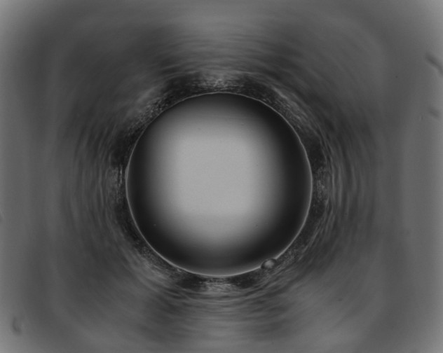 X0000093590605200710151205