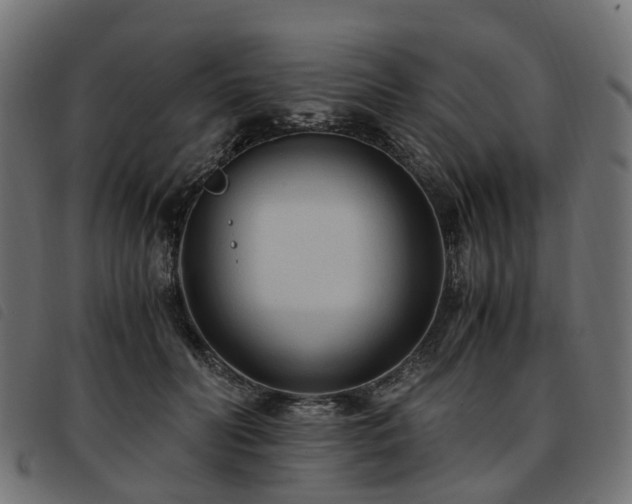 X0000093590606200710151205