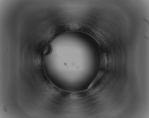 X0000093590608200710151205
