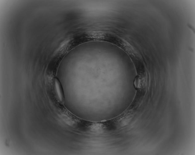 X0000093590609200710151205