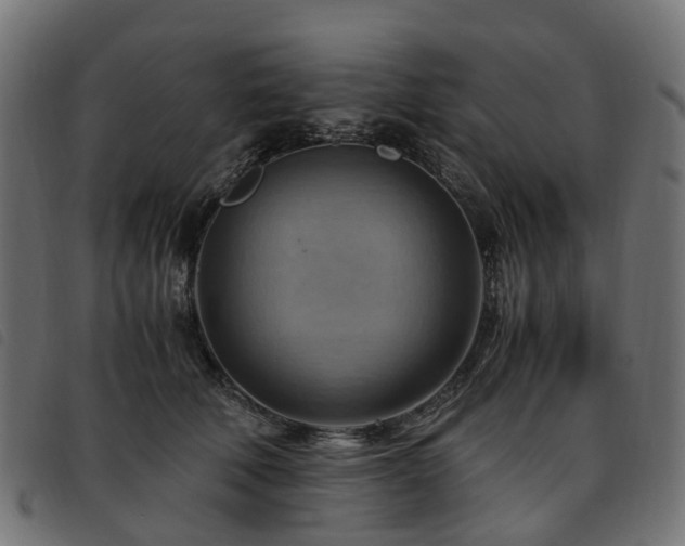 X0000093590610200710151205
