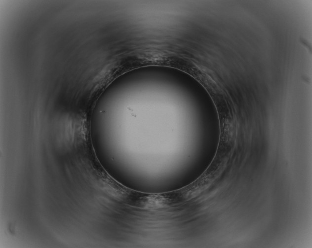 X0000093590612200710151205