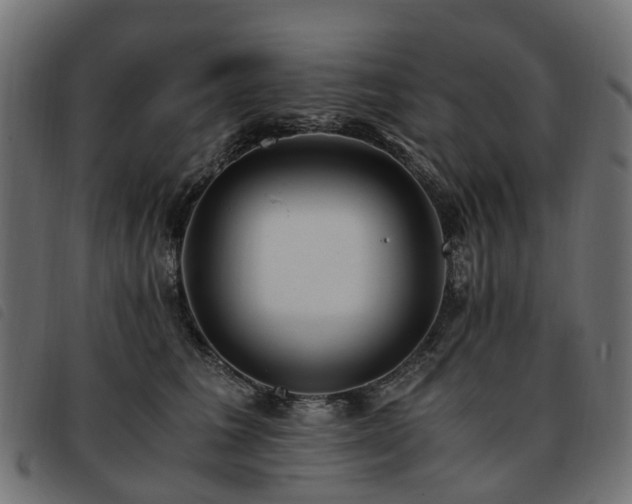 X0000093590613200710151205