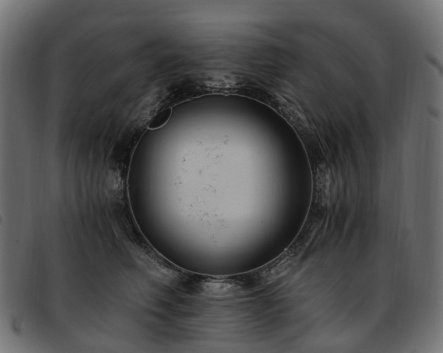 X0000093590614200710151205