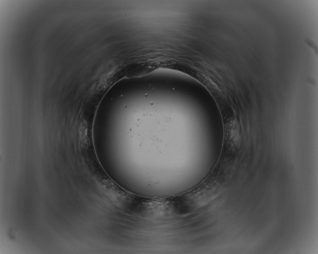 X0000093590615200710151205