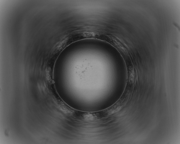 X0000093590616200710151205