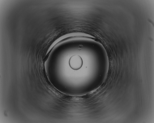 X0000093590617200710151205