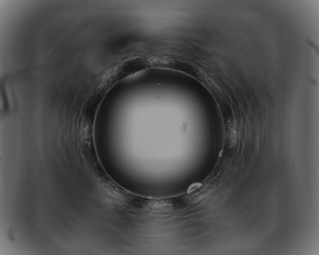 X0000093590619200710151205