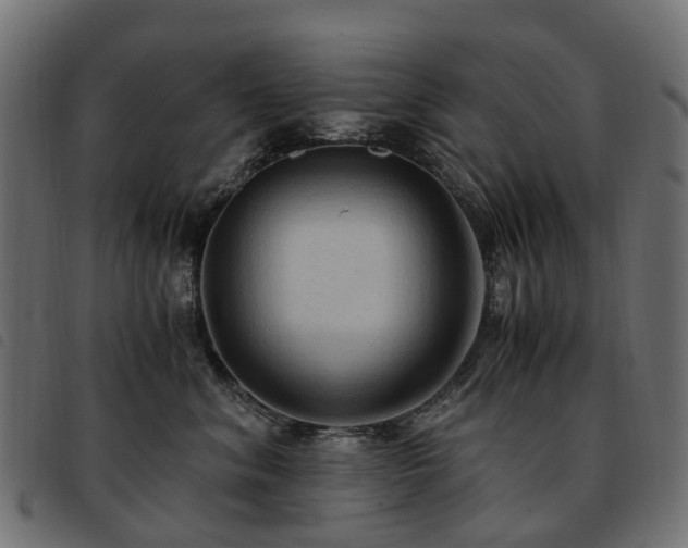 X0000093590620200710151205