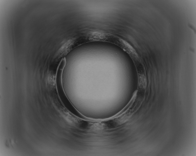 X0000093590621200710151205