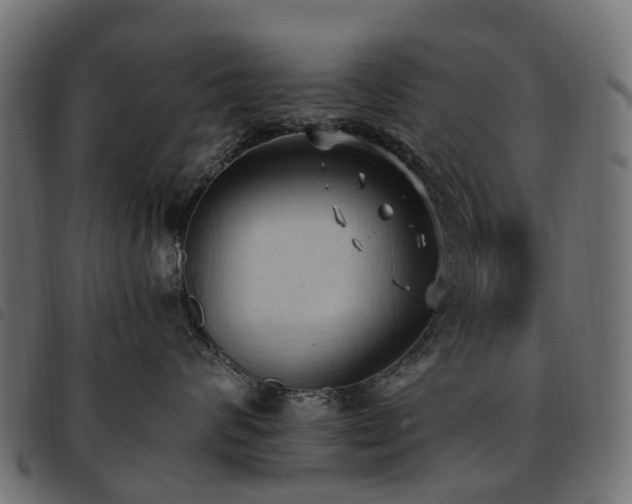 X0000093590624200710151205