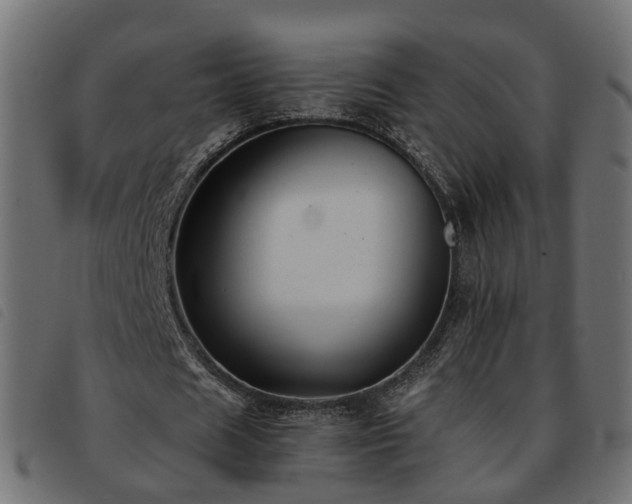 X0000093590625200710151205