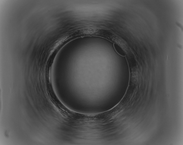 X0000093590626200710151205
