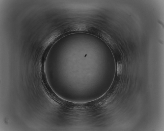 X0000093590627200710151205