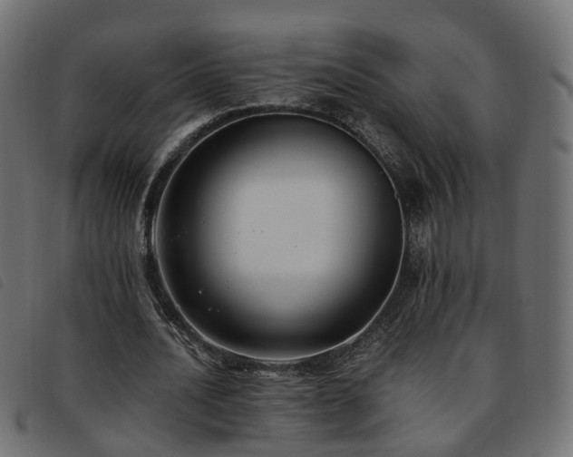 X0000093590628200710151205