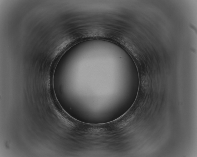 X0000093590629200710151205