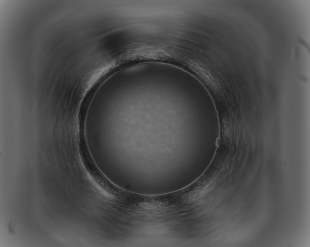 X0000093590630200710151205