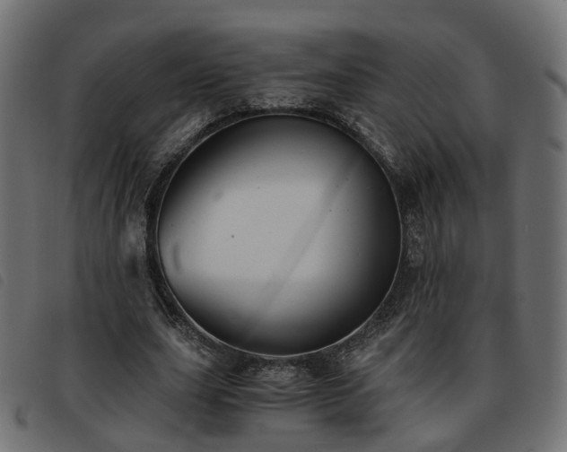 X0000093590631200710151205