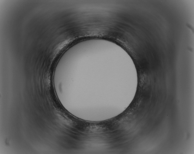 X0000093590632200710151205