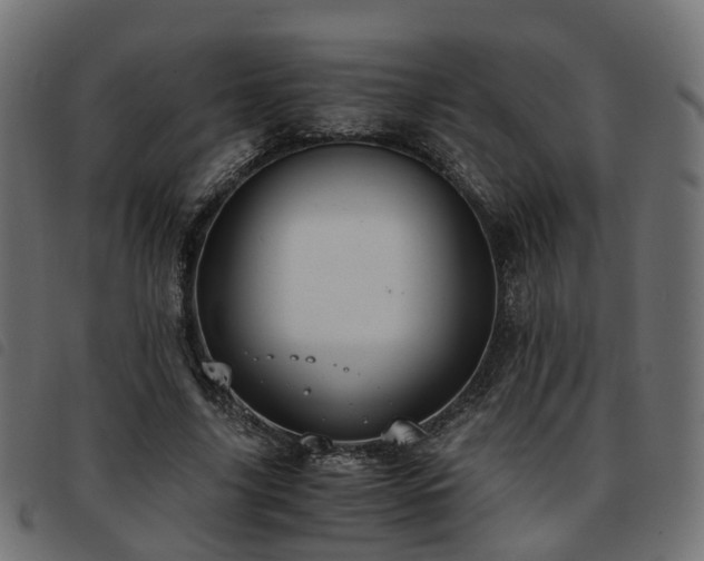X0000093590635200710151205