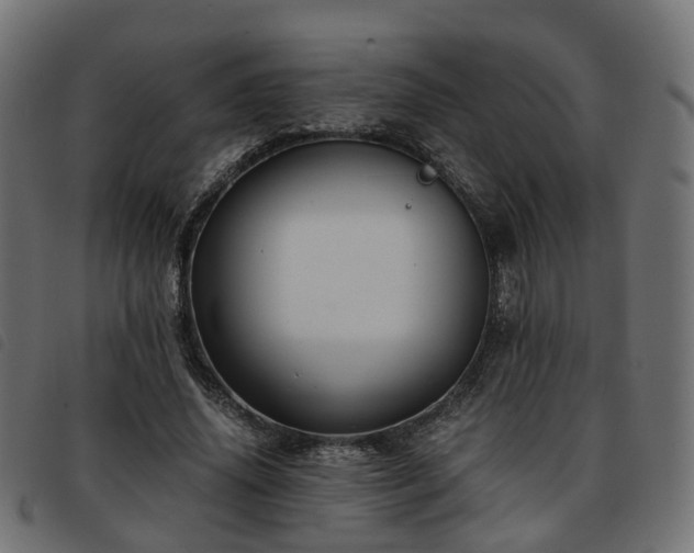 X0000093590636200710151205