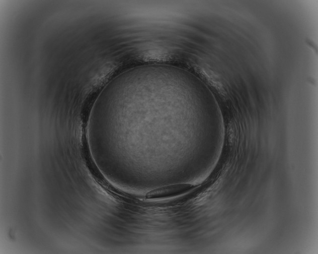 X0000093590637200710151205