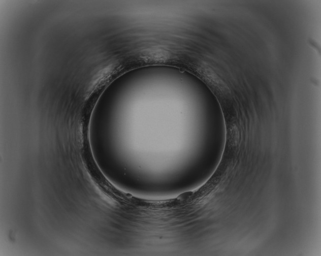 X0000093590638200710151205