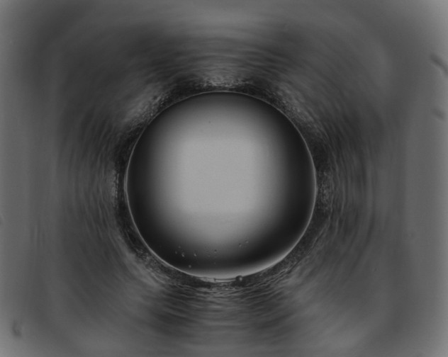 X0000093590639200710151205