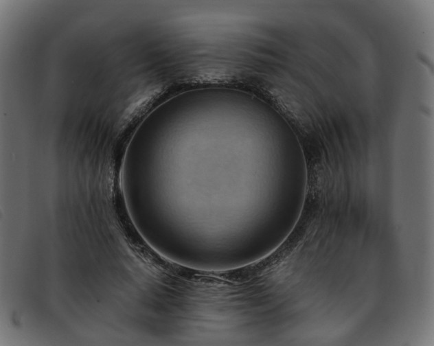 X0000093590640200710151205