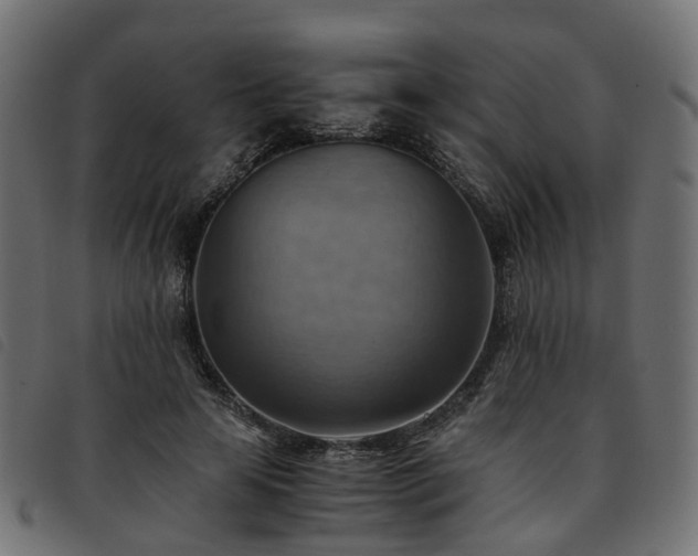 X0000093590641200710151205
